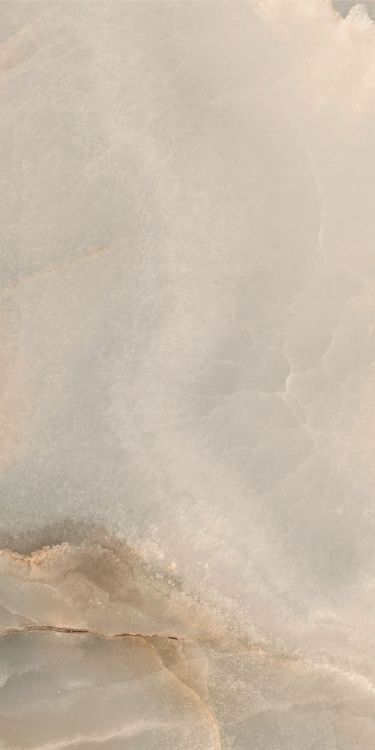 Reves Noisette Matte 12 x 24